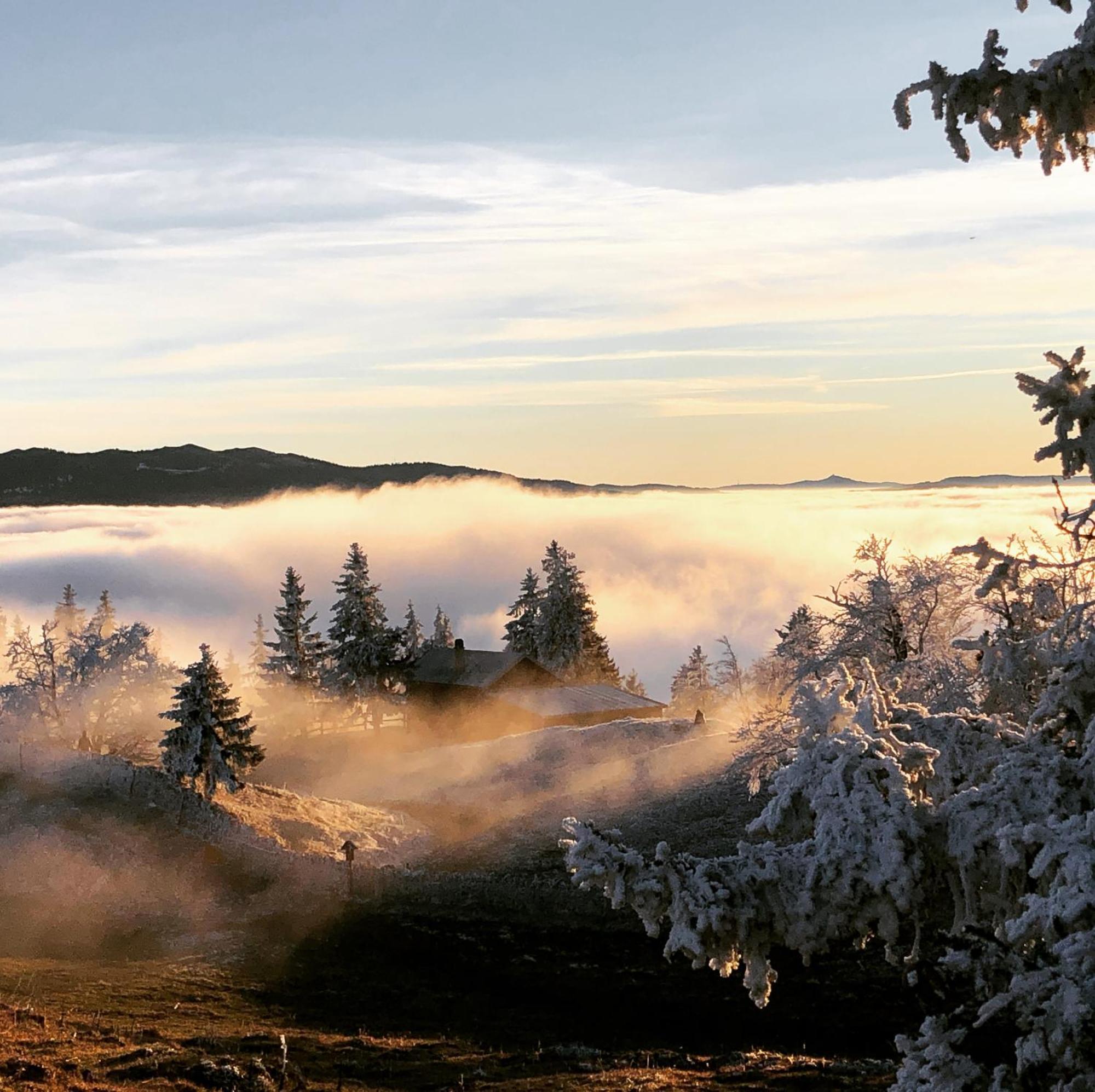 La Croisee Des Chemins Premier エクステリア 写真